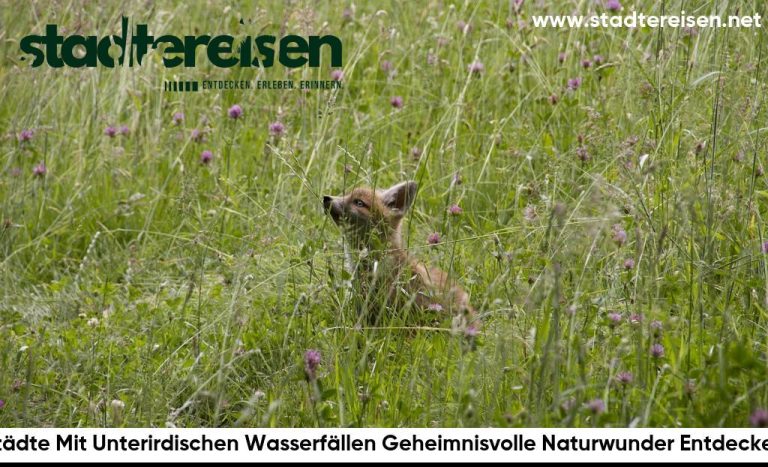 Städte Mit Unterirdischen Wasserfällen Geheimnisvolle Naturwunder Entdecken