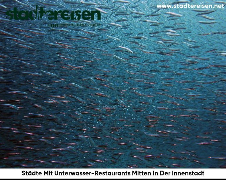 Städte Mit Unterwasser-Restaurants Mitten In Der Innenstadt