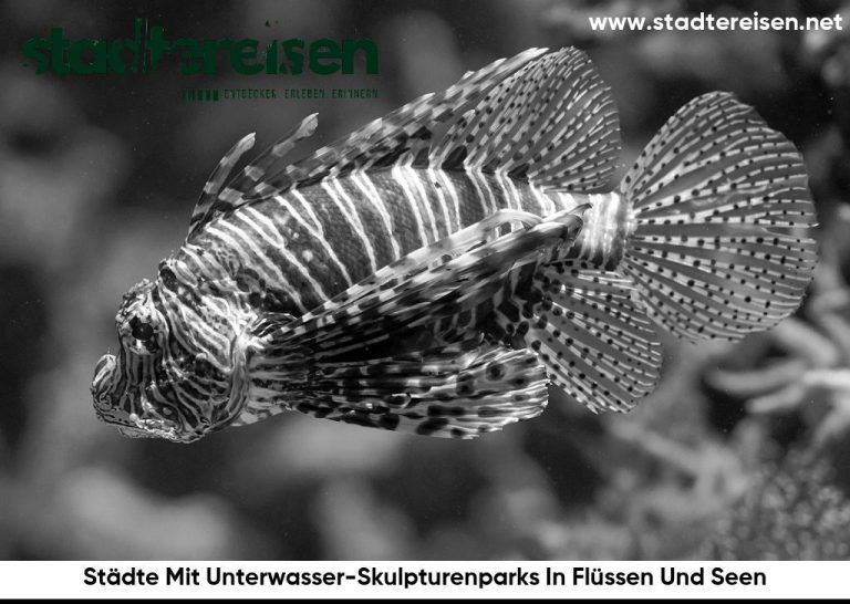 Städte Mit Unterwasser-Skulpturenparks In Flüssen Und Seen
