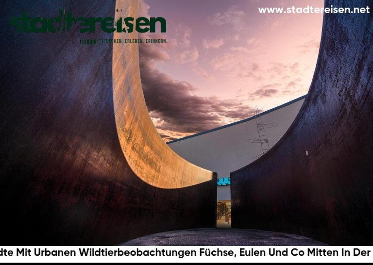 Städte Mit Urbanen Wildtierbeobachtungen Füchse, Eulen Und Co Mitten In Der City