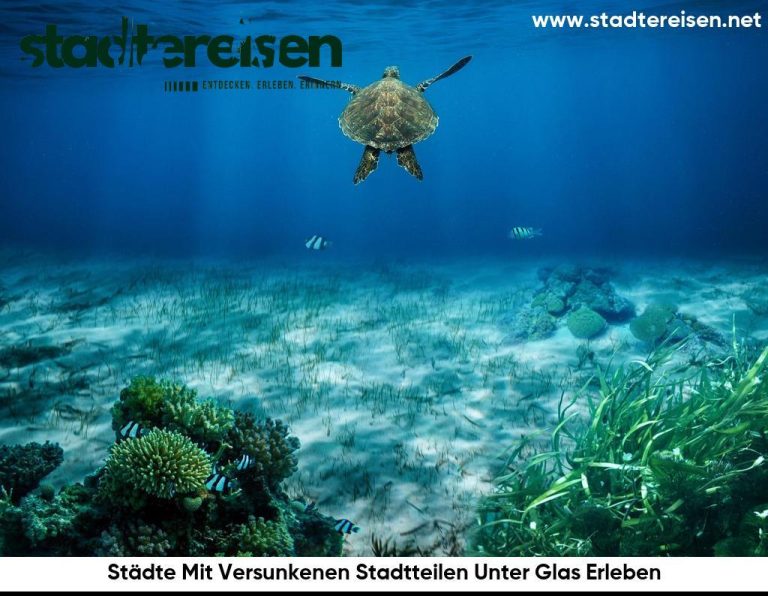 Städte Mit Versunkenen Stadtteilen Unter Glas Erleben