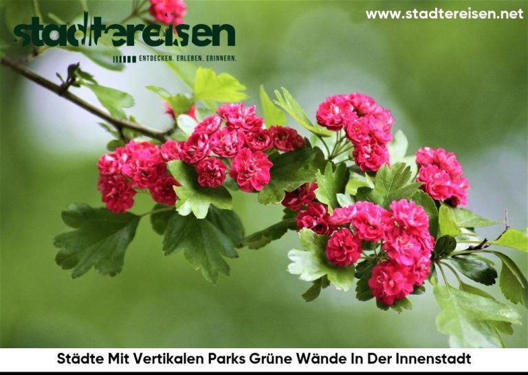 Städte Mit Vertikalen Parks Grüne Wände In Der Innenstadt