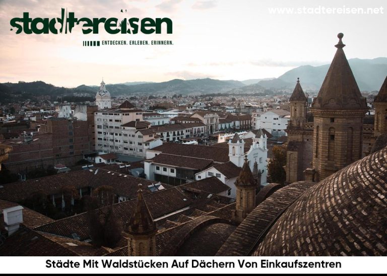 Städte Mit Waldstücken Auf Dächern Von Einkaufszentren