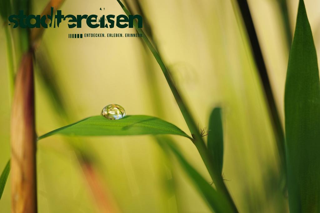 Städtereisen Mit Heilquellen Und Natürlichem Mineralwasser Für Körper Und Seele