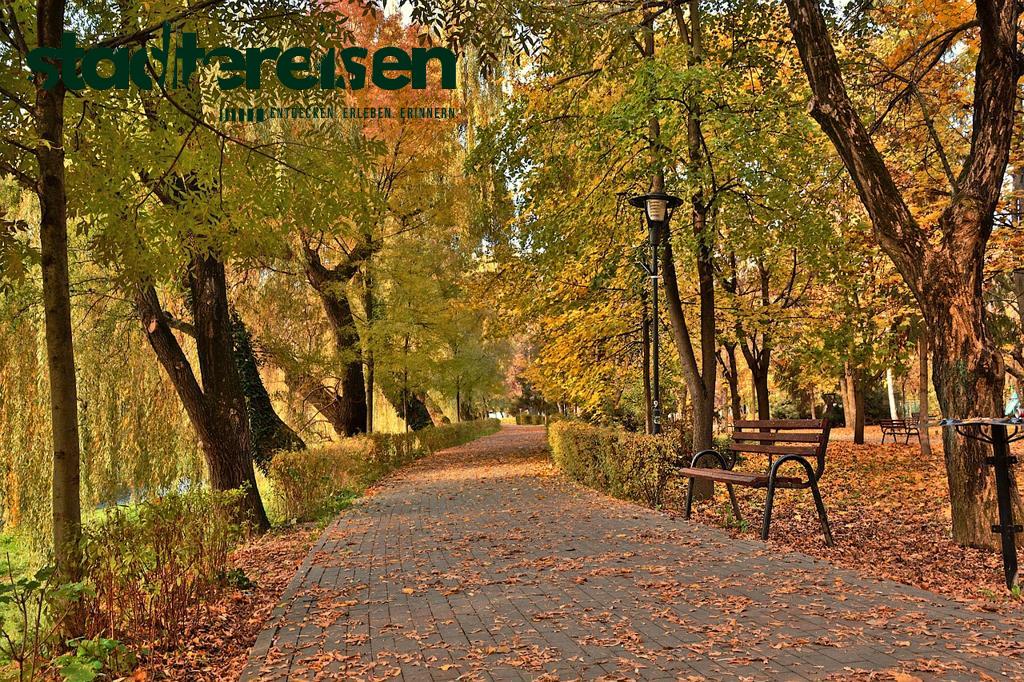 Wo Alte Friedhöfe Zu Blühenden Stadtparks Umgestaltet Wurden