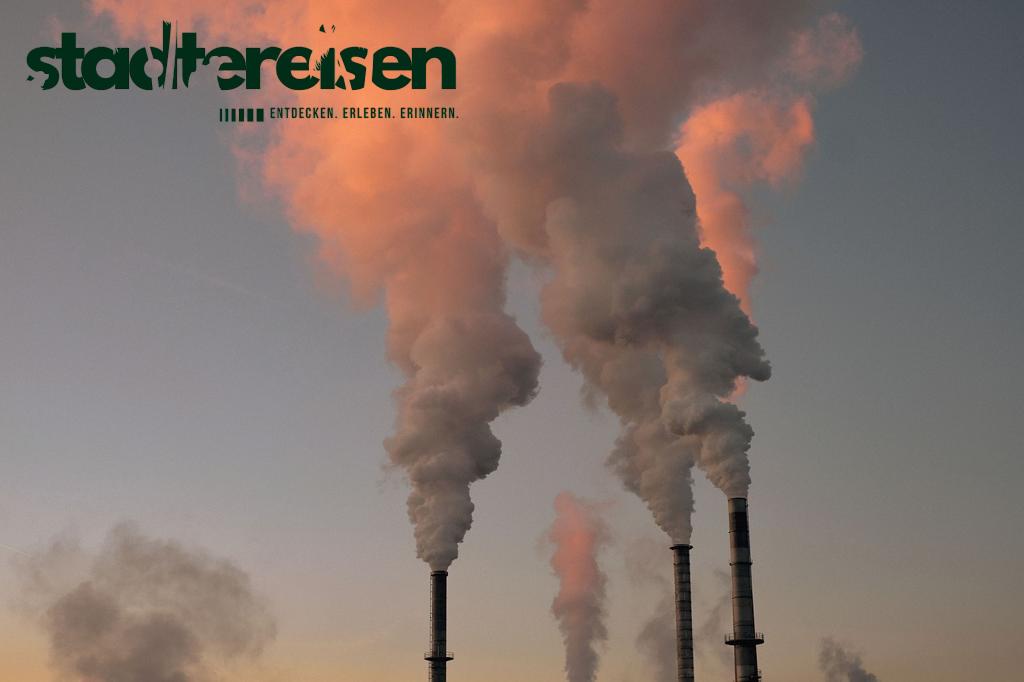 Wo Alte Industriehallen Zu Tropischen Gärten Werden