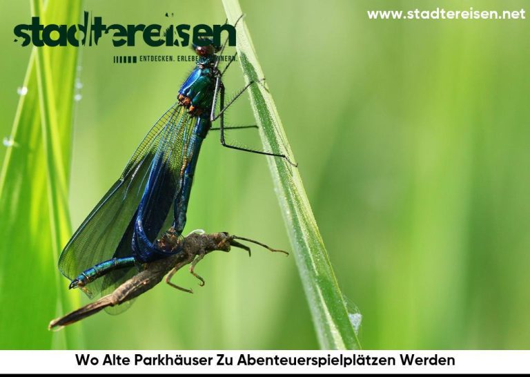 Wo Alte Parkhäuser Zu Abenteuerspielplätzen Werden