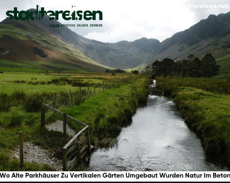 Wo Alte Parkhäuser Zu Vertikalen Gärten Umgebaut Wurden Natur Im Beton