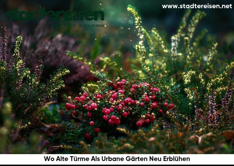Wo Alte Türme Als Urbane Gärten Neu Erblühen