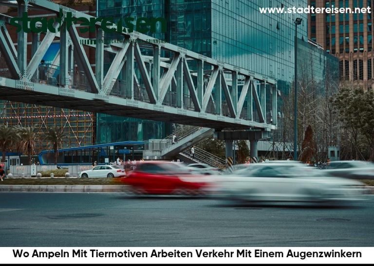 Wo Ampeln Mit Tiermotiven Arbeiten Verkehr Mit Einem Augenzwinkern