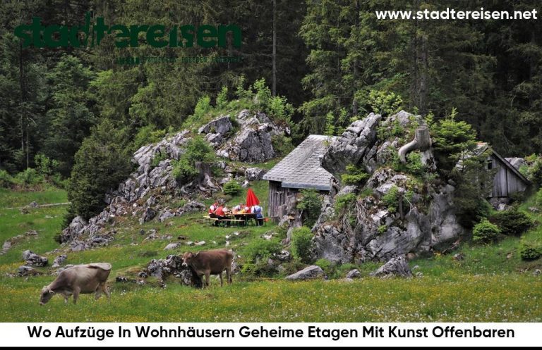 Wo Aufzüge In Wohnhäusern Geheime Etagen Mit Kunst Offenbaren