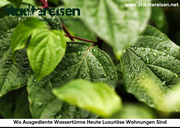 Wo Ausgediente Wassertürme Heute Luxuriöse Wohnungen Sind