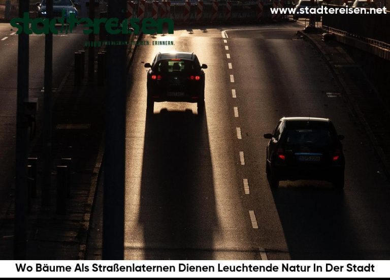 Wo Bäume Als Straßenlaternen Dienen Leuchtende Natur In Der Stadt