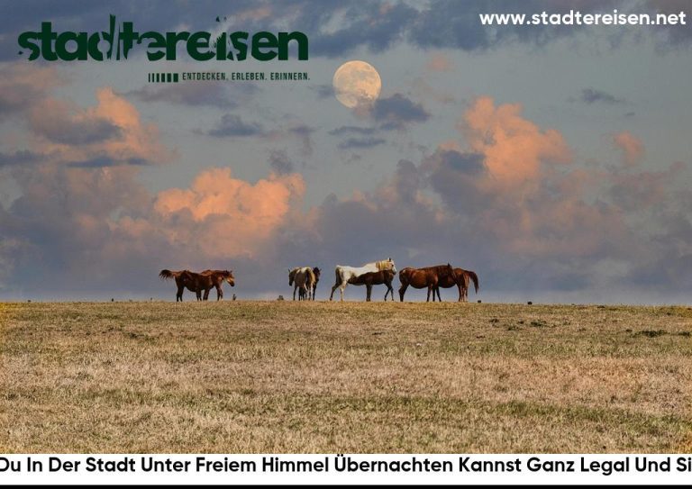 Wo Du In Der Stadt Unter Freiem Himmel Übernachten Kannst Ganz Legal Und Sicher