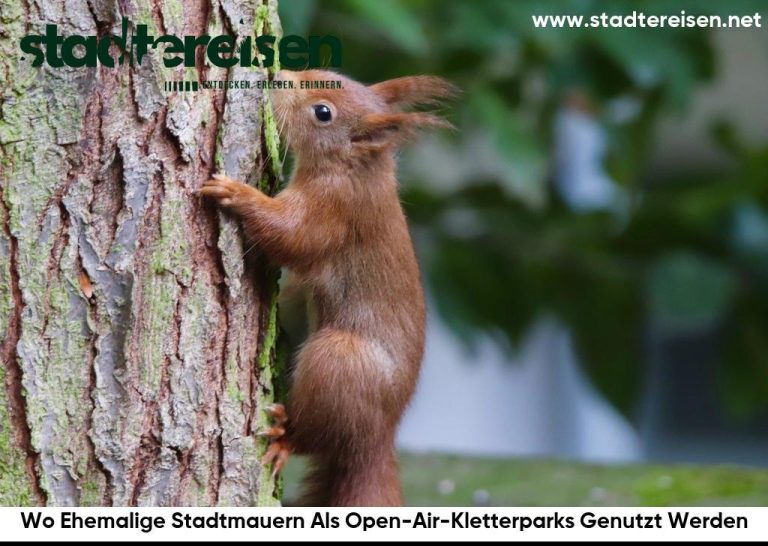 Wo Ehemalige Stadtmauern Als Open-Air-Kletterparks Genutzt Werden