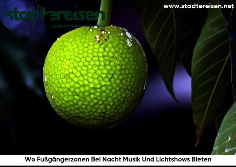 Wo Fußgängerzonen Bei Nacht Musik Und Lichtshows Bieten