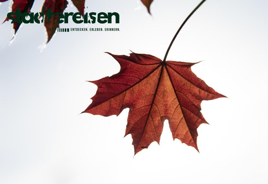 Wo Ganze Viertel Je Nach Jahreszeit Ihre Farben Wechseln