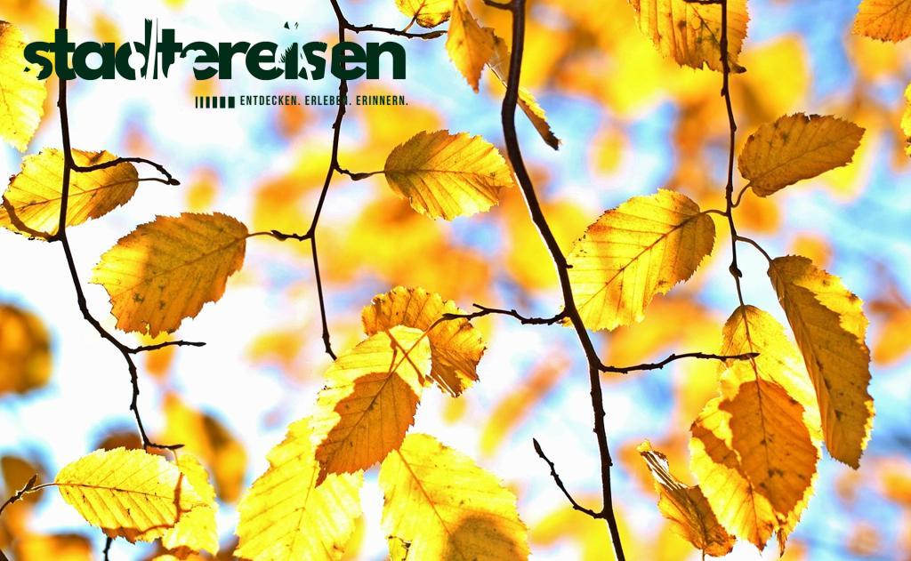 Wo Ganze Viertel Je Nach Jahreszeit Ihre Farben Wechseln