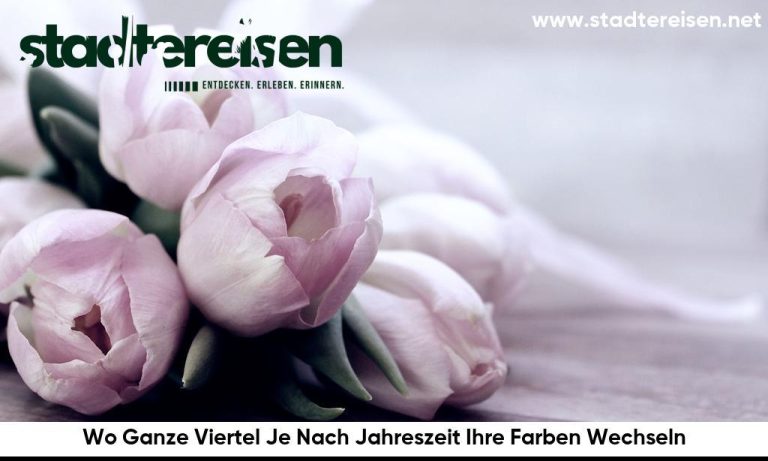 Wo Ganze Viertel Je Nach Jahreszeit Ihre Farben Wechseln