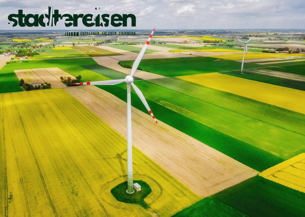 Wo Man In Städten Auf Dachgewächshäuser Trifft Urban Farming Über Den Straßen