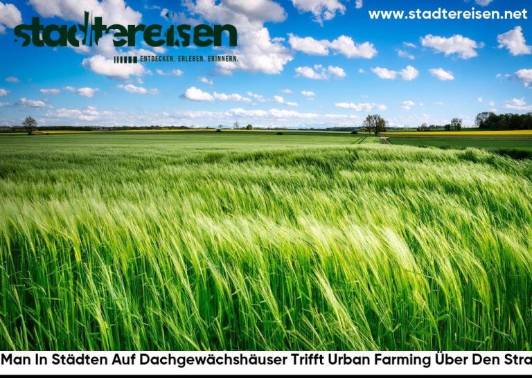Wo Man In Städten Auf Dachgewächshäuser Trifft Urban Farming Über Den Straßen