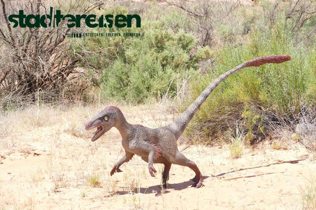 Wo Man Mitten In Der Stadt Fossilien Finden Kann Geologie Trifft Großstadt