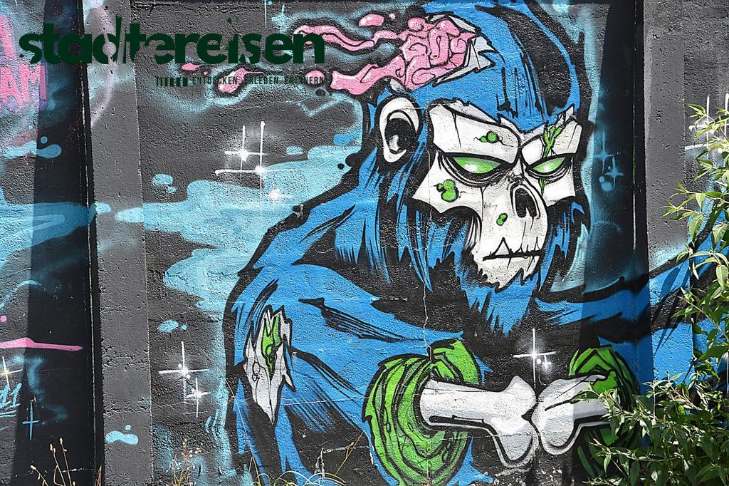 Wo Müllcontainer Zu Mini-Galerien Umfunktioniert Wurden