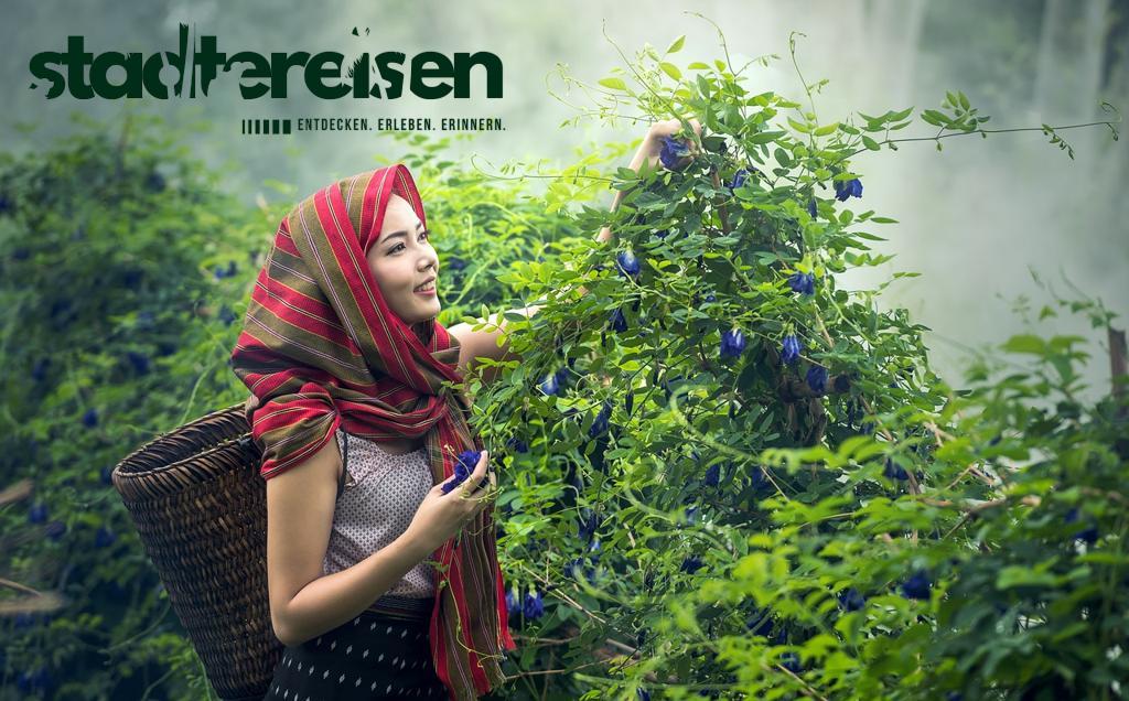 Wo Parkhäuser Zu Urban Farms Umgebaut Wurden Ernten Mitten In Der Stadt