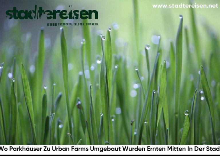Wo Parkhäuser Zu Urban Farms Umgebaut Wurden Ernten Mitten In Der Stadt