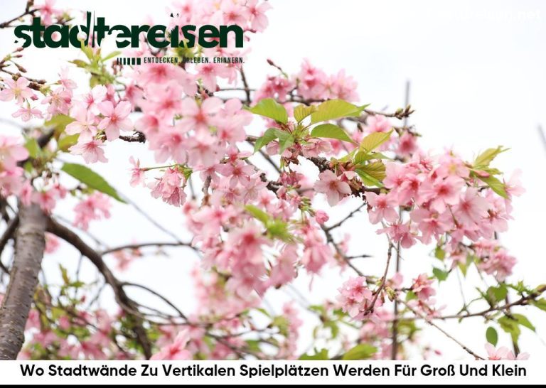 Wo Stadtwände Zu Vertikalen Spielplätzen Werden Für Groß Und Klein