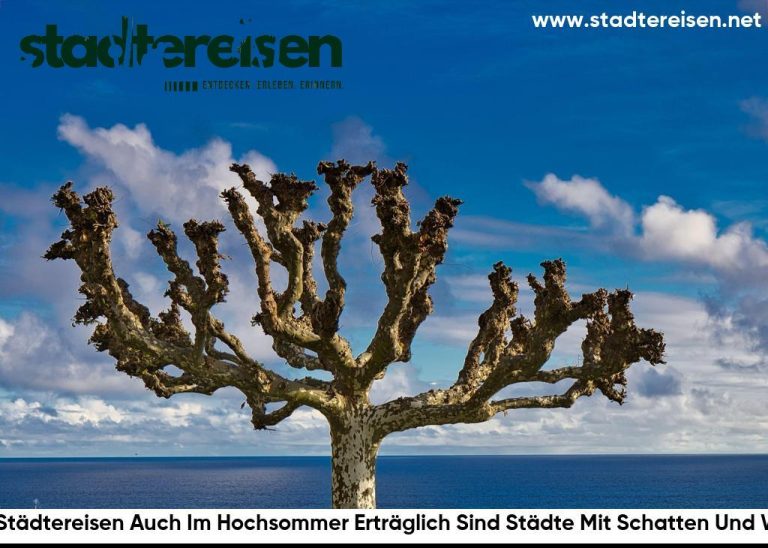 Wo Städtereisen Auch Im Hochsommer Erträglich Sind Städte Mit Schatten Und Wind