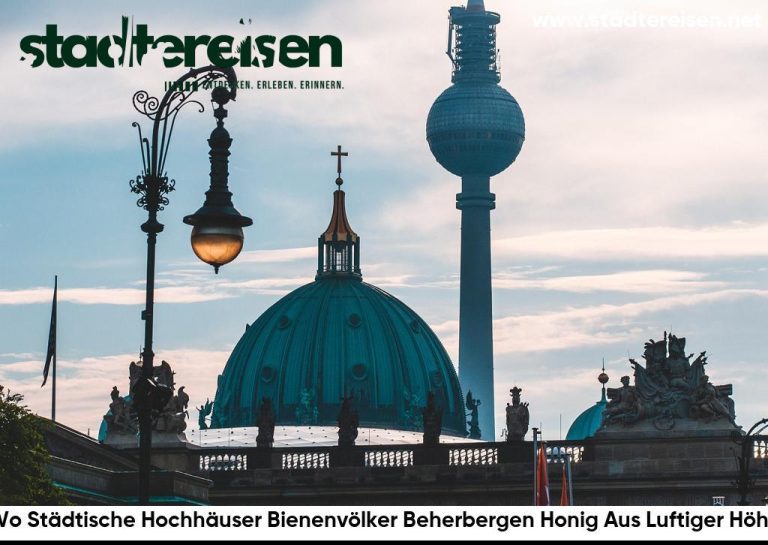 Wo Städtische Hochhäuser Bienenvölker Beherbergen Honig Aus Luftiger Höhe