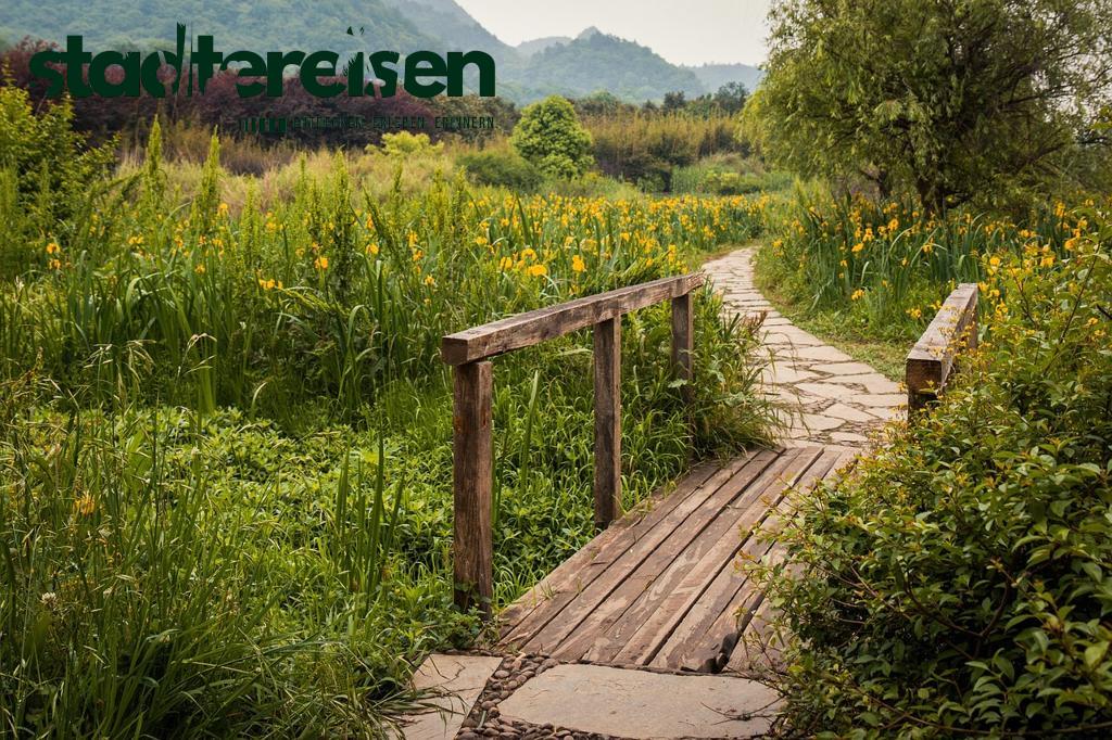 Wo Stillgelegte Rolltreppen Zu Kunstpfaden Im Untergrund Wurden