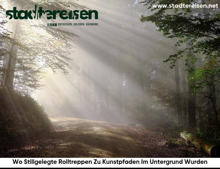 Wo Stillgelegte Rolltreppen Zu Kunstpfaden Im Untergrund Wurden