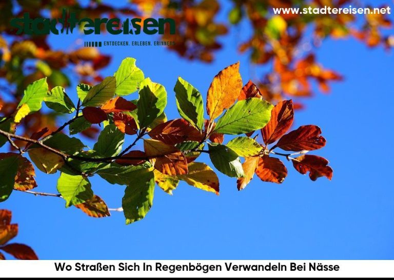 Wo Straßen Sich In Regenbögen Verwandeln Bei Nässe