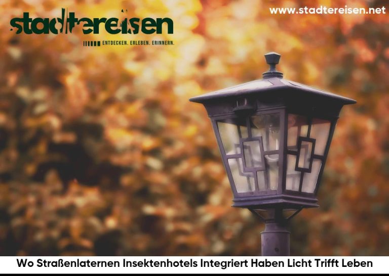 Wo Straßenlaternen Insektenhotels Integriert Haben Licht Trifft Leben