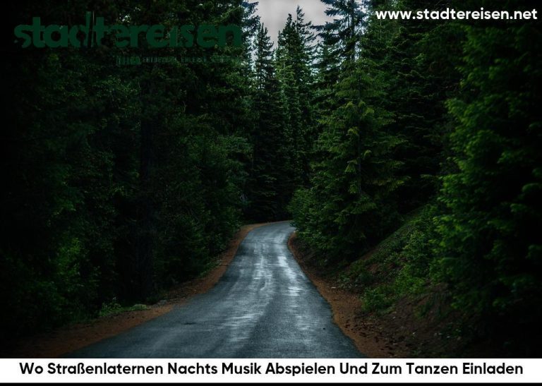Wo Straßenlaternen Nachts Musik Abspielen Und Zum Tanzen Einladen