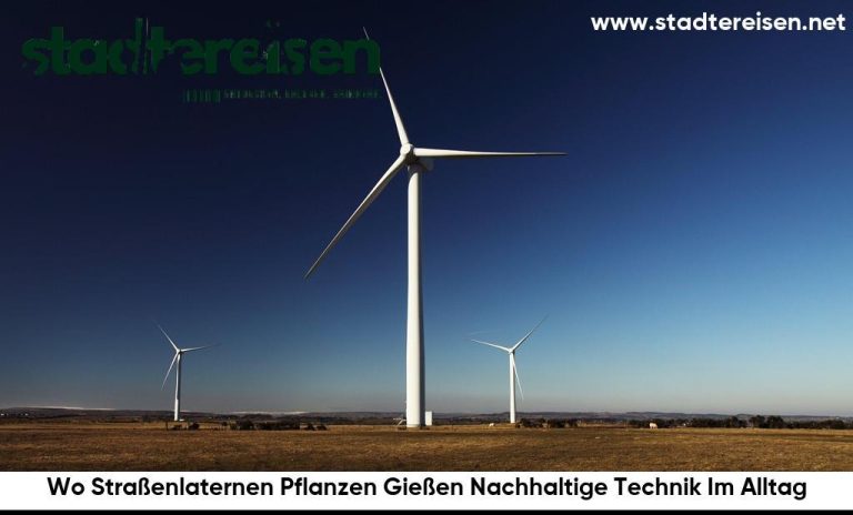 Wo Straßenlaternen Pflanzen Gießen Nachhaltige Technik Im Alltag