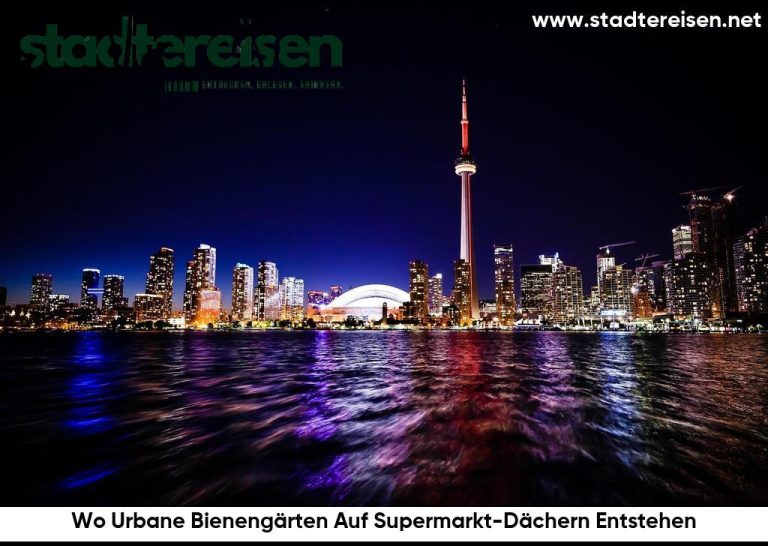 Wo Urbane Bienengärten Auf Supermarkt-Dächern Entstehen
