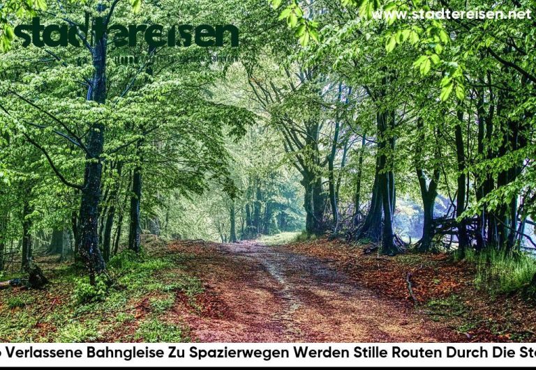 Wo Verlassene Bahngleise Zu Spazierwegen Werden Stille Routen Durch Die Stadt