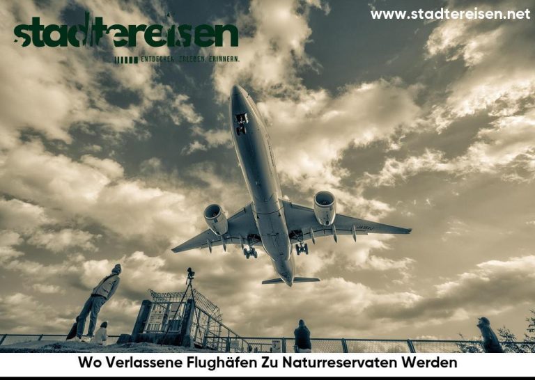 Wo Verlassene Flughäfen Zu Naturreservaten Werden