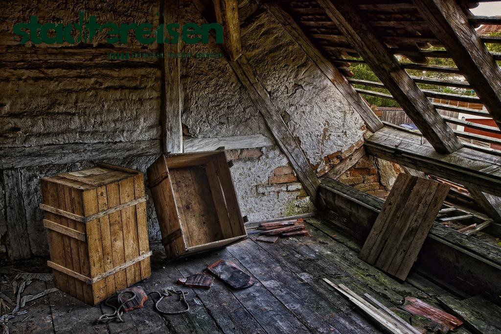 Wo Verlassene Zoos Zu Urban-Exploring-Hotspots Werden