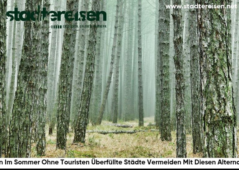 Wohin Im Sommer Ohne Touristen Überfüllte Städte Vermeiden Mit Diesen Alternativen