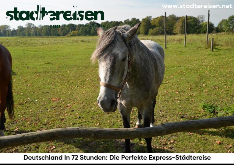 Deutschland In 72 Stunden: Die Perfekte Express-Städtereise