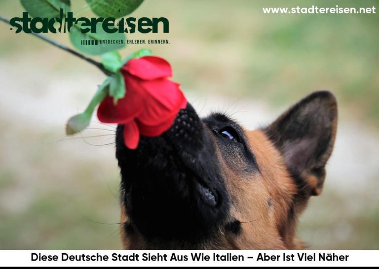 Diese Deutsche Stadt Sieht Aus Wie Italien – Aber Ist Viel Näher