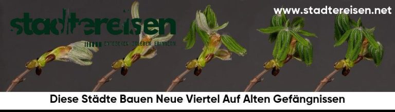 Diese Städte Bauen Neue Viertel Auf Alten Gefängnissen