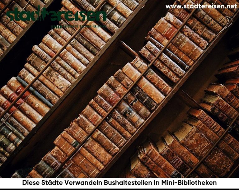 Diese Städte Verwandeln Bushaltestellen In Mini-Bibliotheken