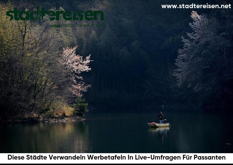Diese Städte Verwandeln Werbetafeln In Live-Umfragen Für Passanten