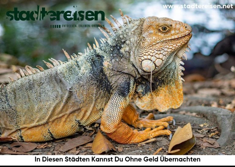 In Diesen Städten Kannst Du Ohne Geld Übernachten