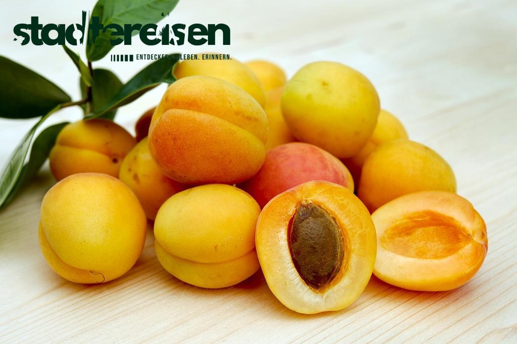 In Welchen Städten Du Nachts Kostenlos Essen Kannst
